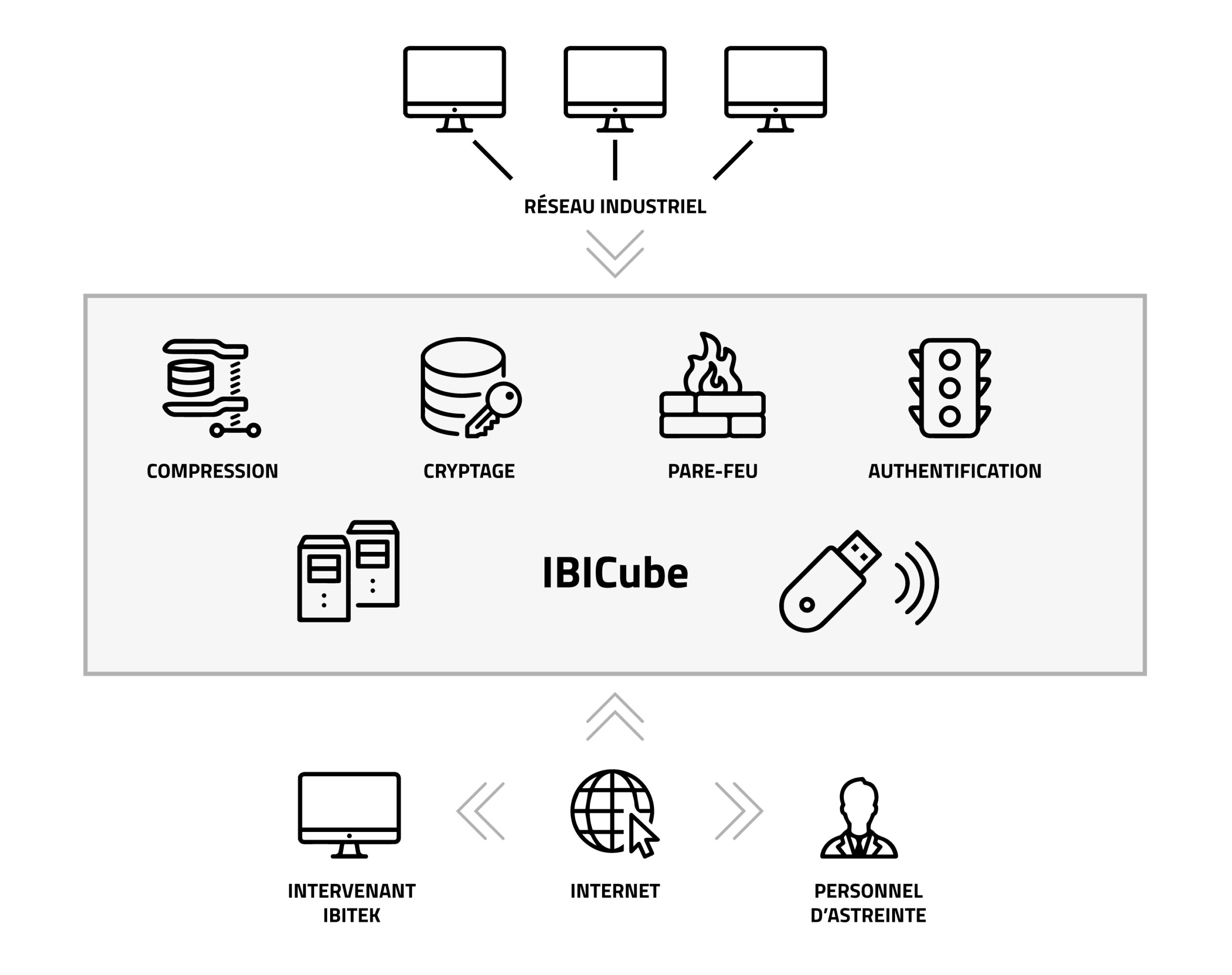 illustration-ibicube-1